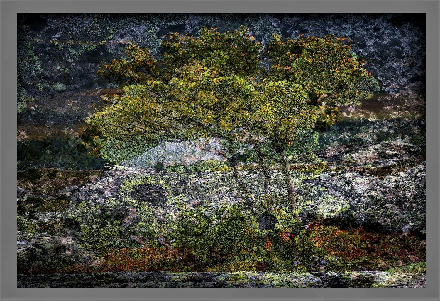 18 ruskapuu Timo Vesterisen kaksoisvalotus.